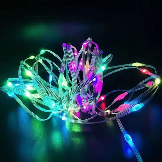 Smart APP Control Led Leather Wire String Fairy Light RGB Dream Color Lamp With 24Key Remote Control Theme Party